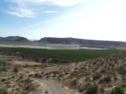 Castillo de Alcala 2009
